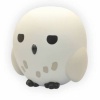 figuraplastoyhuchahedwig