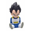 figuraplastoyhuchavegeta