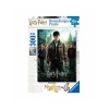 harry-potter-300-xxl-puzzle-ravensburger